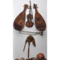 Muzeul Popa - Casa colectiilor - sala 2 -  instrumente muzicale.jpg